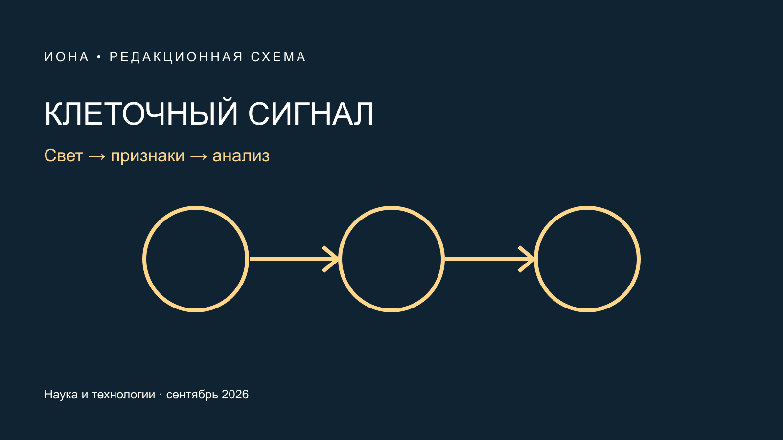 Оригинальная редакционная схема: КЛЕТОЧНЫЙ СИГНАЛ. Свет → признаки → анализ