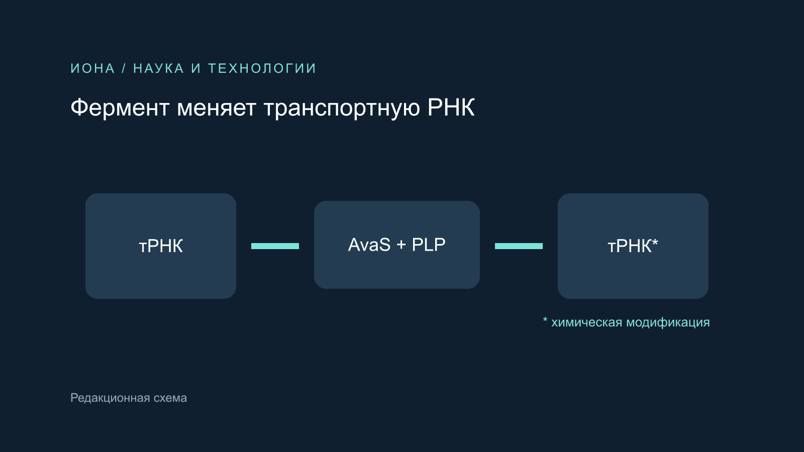 Редакционная схема: фермент модифицирует транспортную РНК